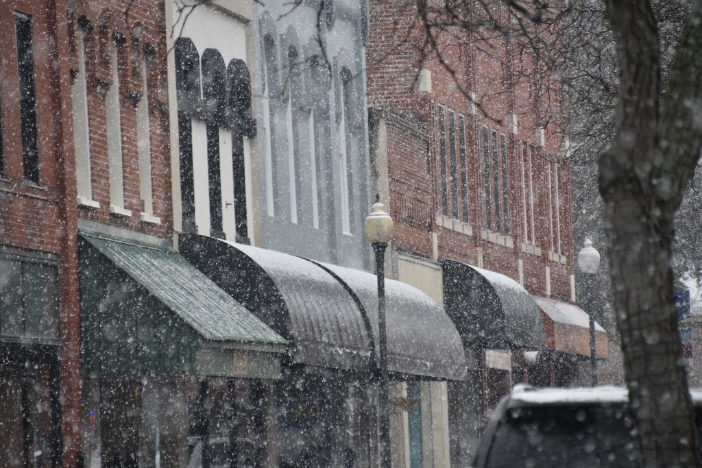 snow 1-31-20 006 (1024x683).jpg